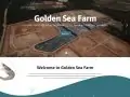 golden sea farm website 2