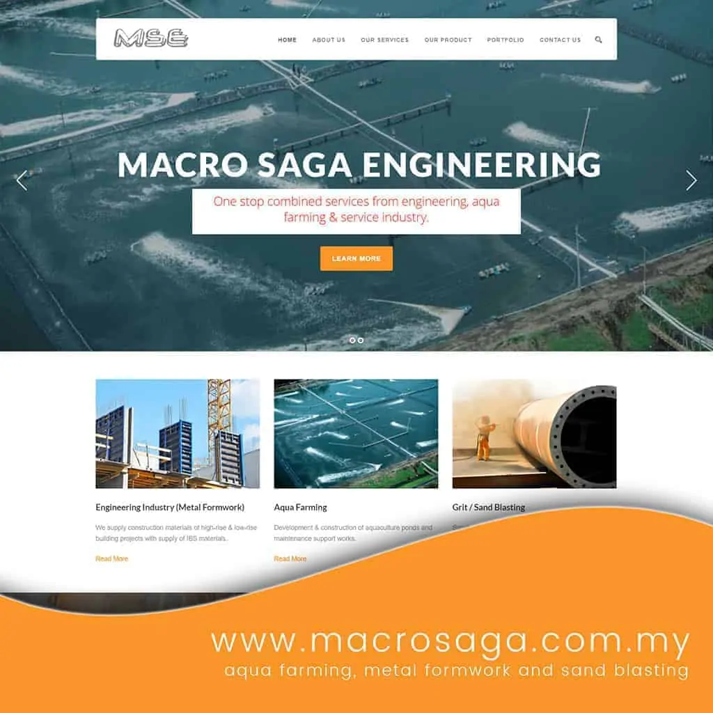 macrosaga website