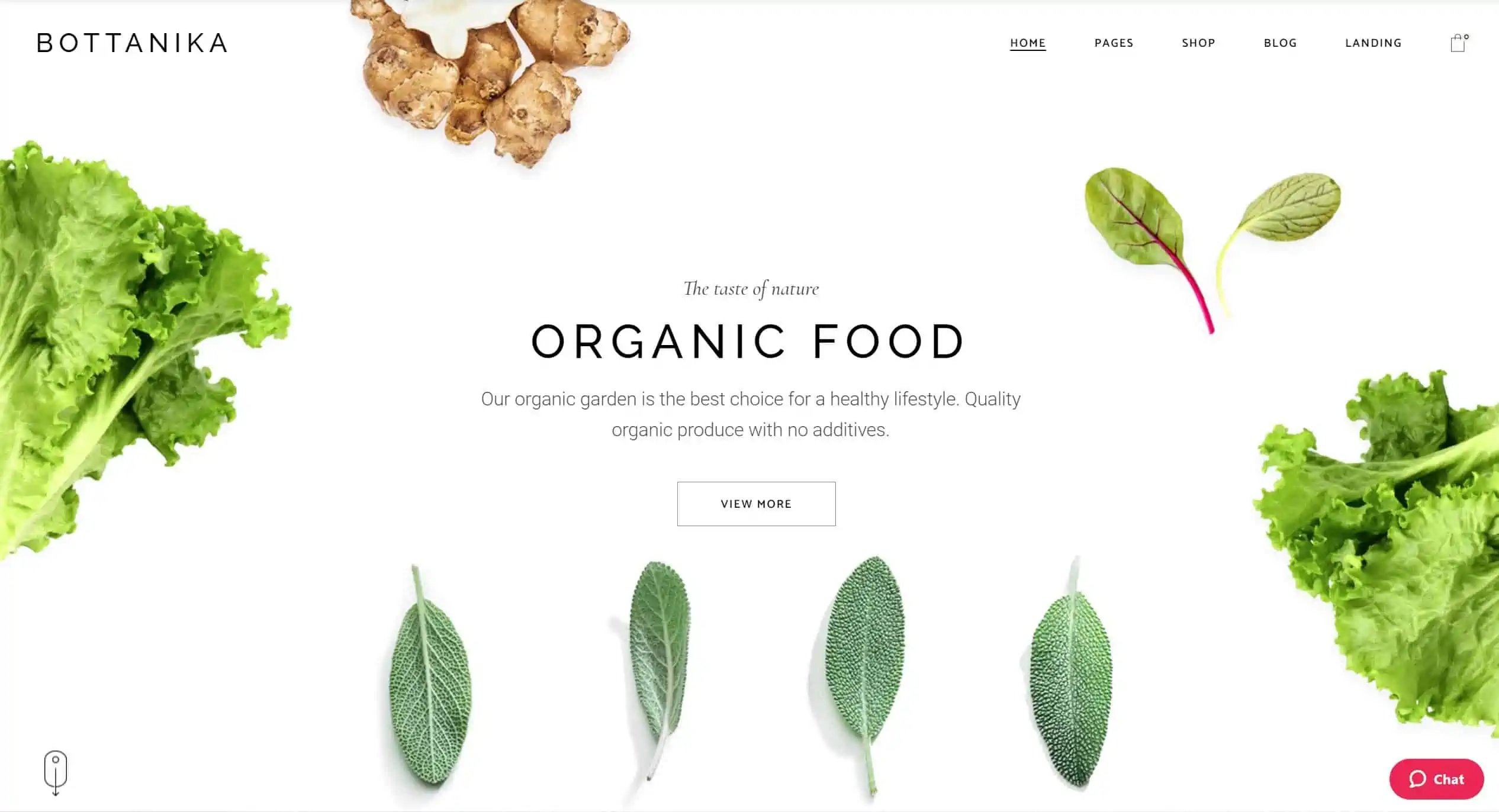 organic food website design malaysia