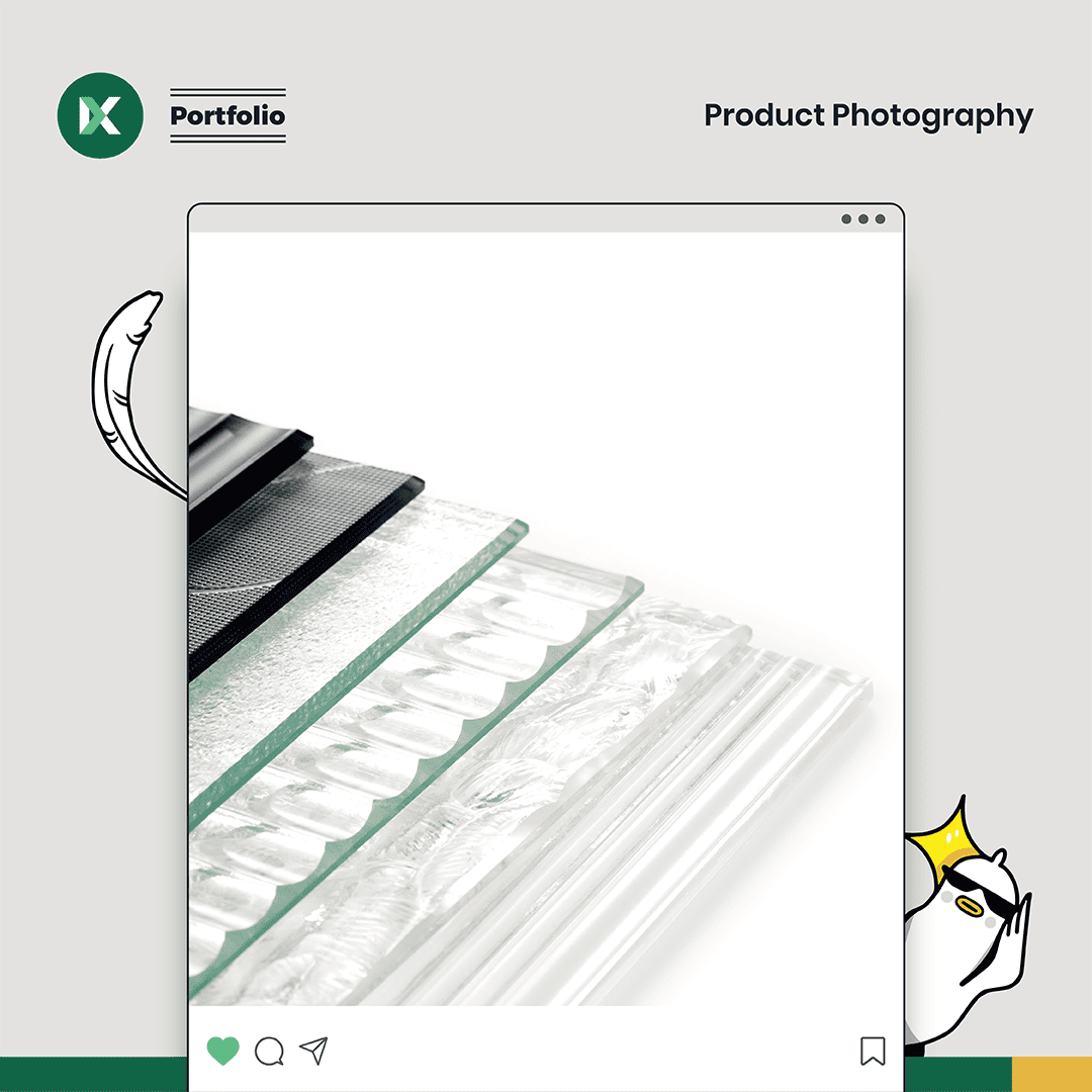 ACE Champion Photofolio